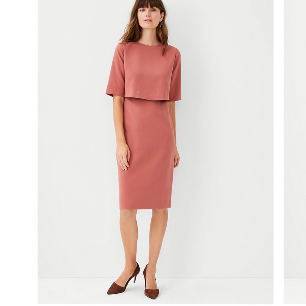 NWT Ann Taylor Overlay Elbow Sleeve Dress - 4